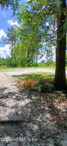 2995 Thunder Road Middleburg FL 32068