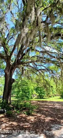 2995 Thunder Road Middleburg FL 32068