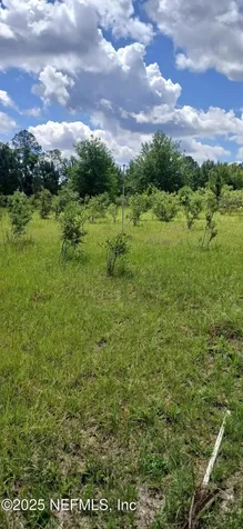 2995 Thunder Road Middleburg FL 32068