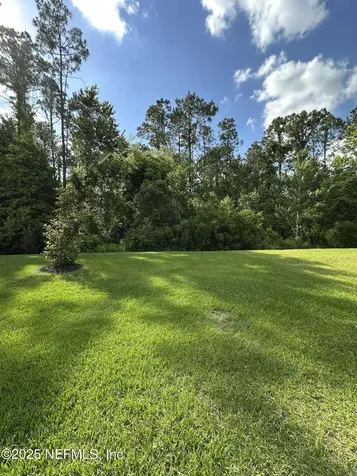 2062 Garrison Way Green Cove Springs FL 32043