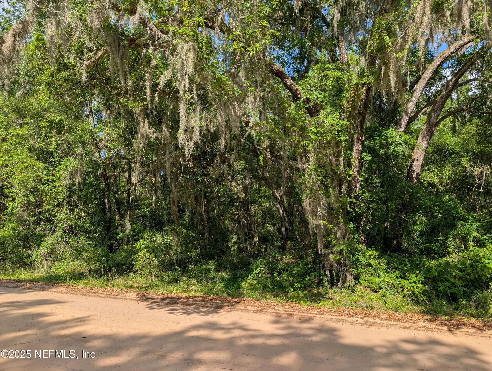 Lot 25 Walker Drive Interlachen FL 32148