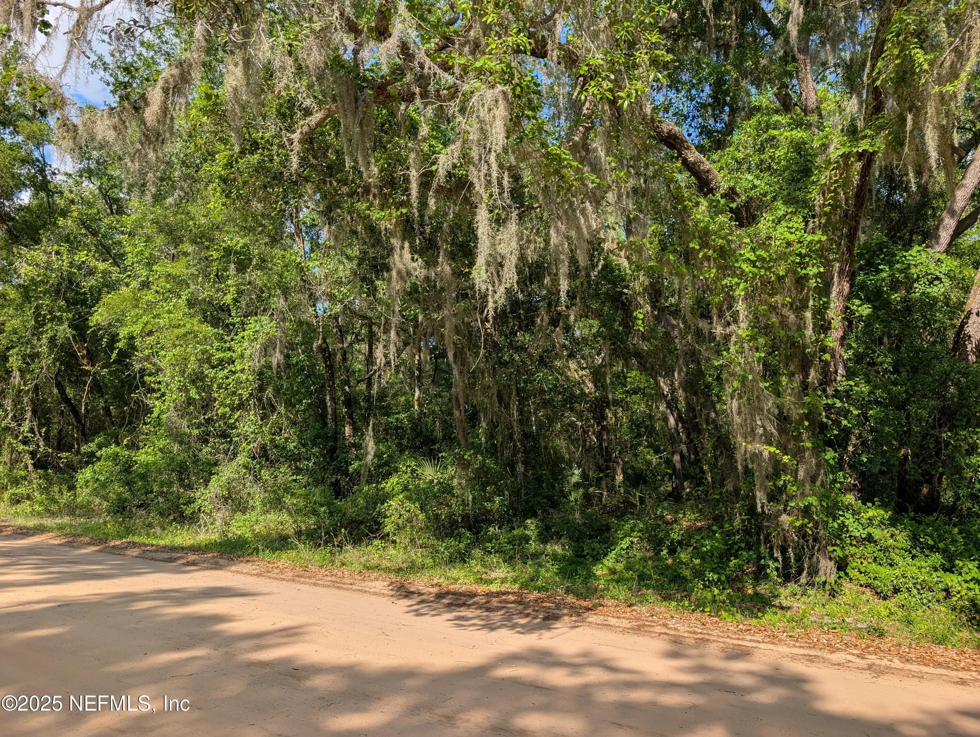 Lot 25 Walker Drive Interlachen FL 32148