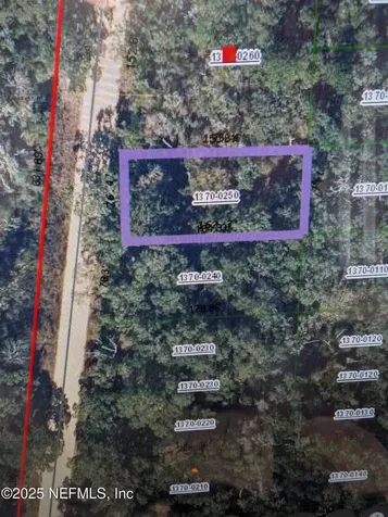 Lot 25 Walker Drive Interlachen FL 32148