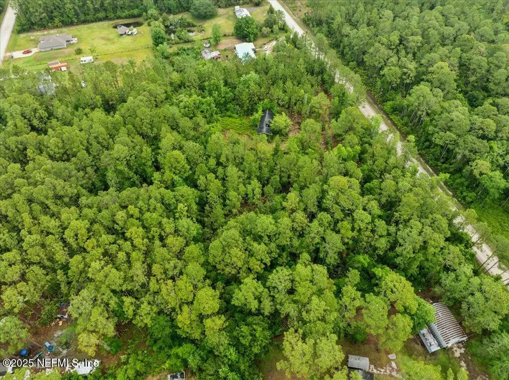 1756 Hazelnut Street Bunnell FL 32110