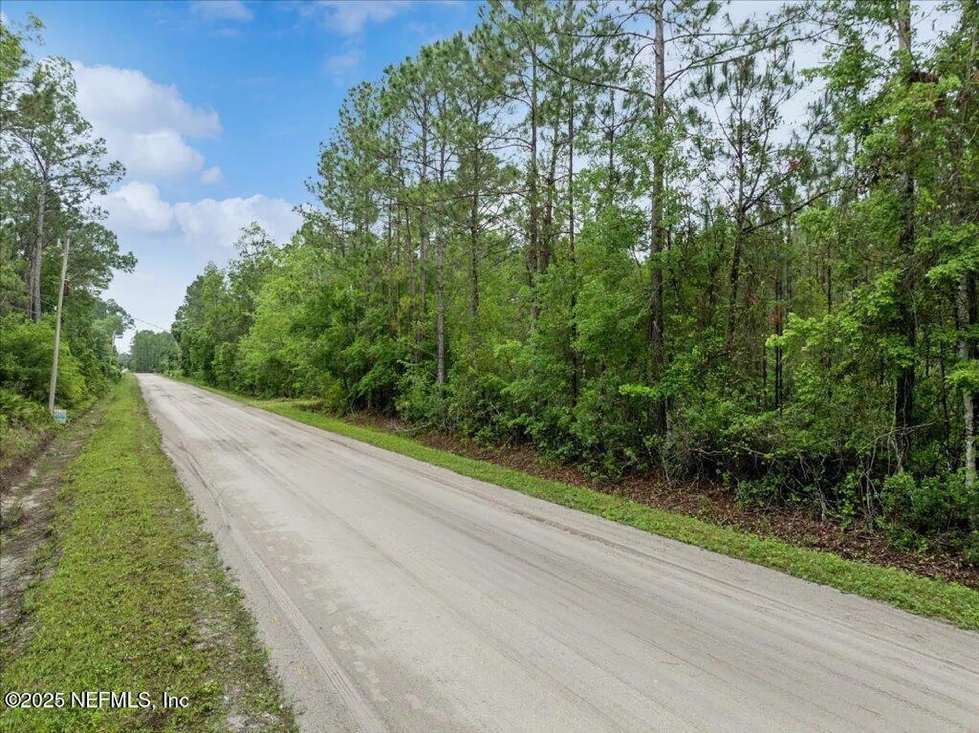 1756 Hazelnut Street Bunnell FL 32110