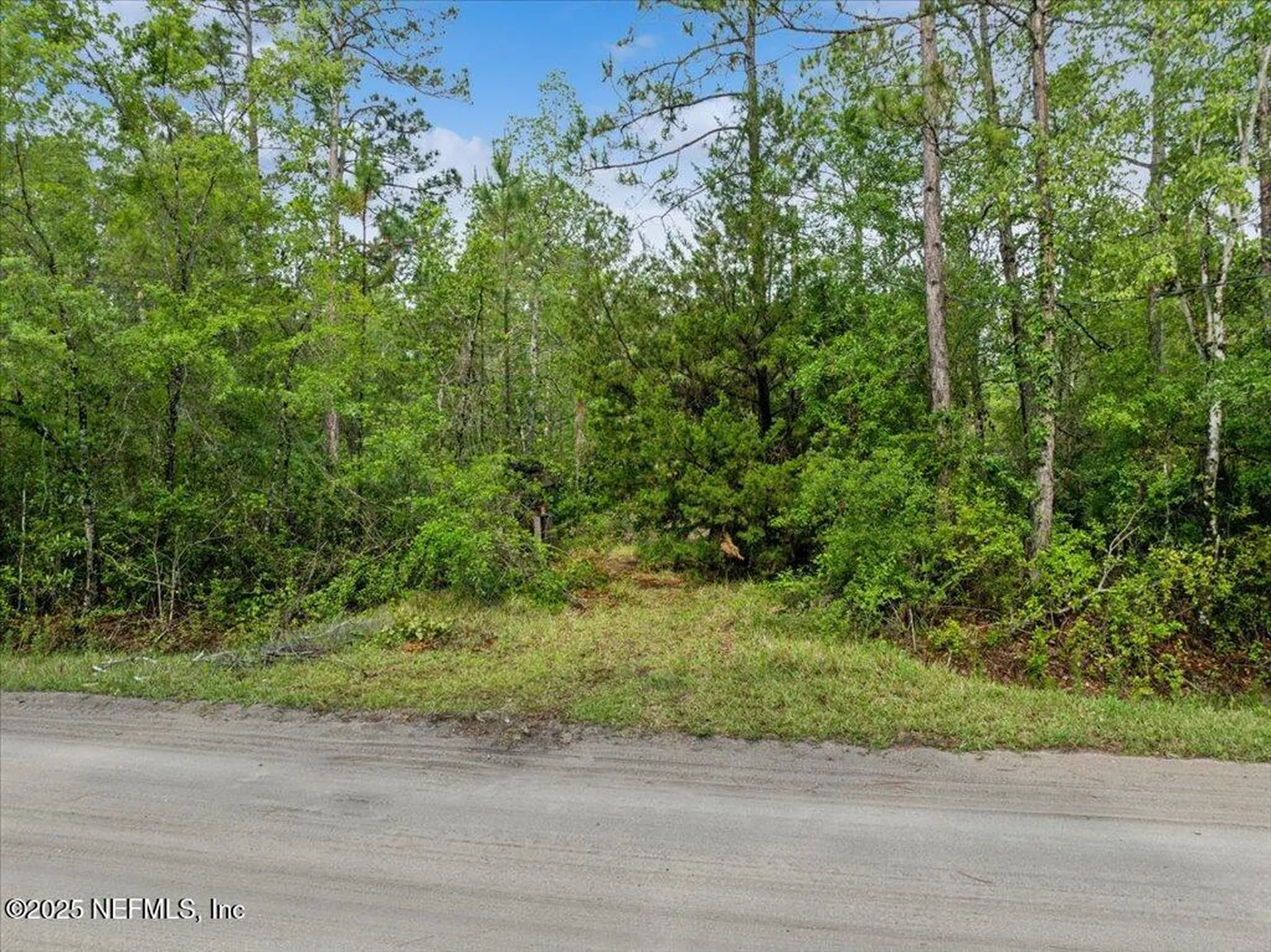 1756 Hazelnut Street Bunnell FL 32110