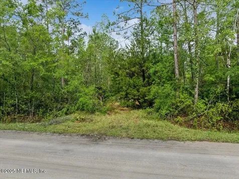 1756 Hazelnut Street Bunnell FL 32110