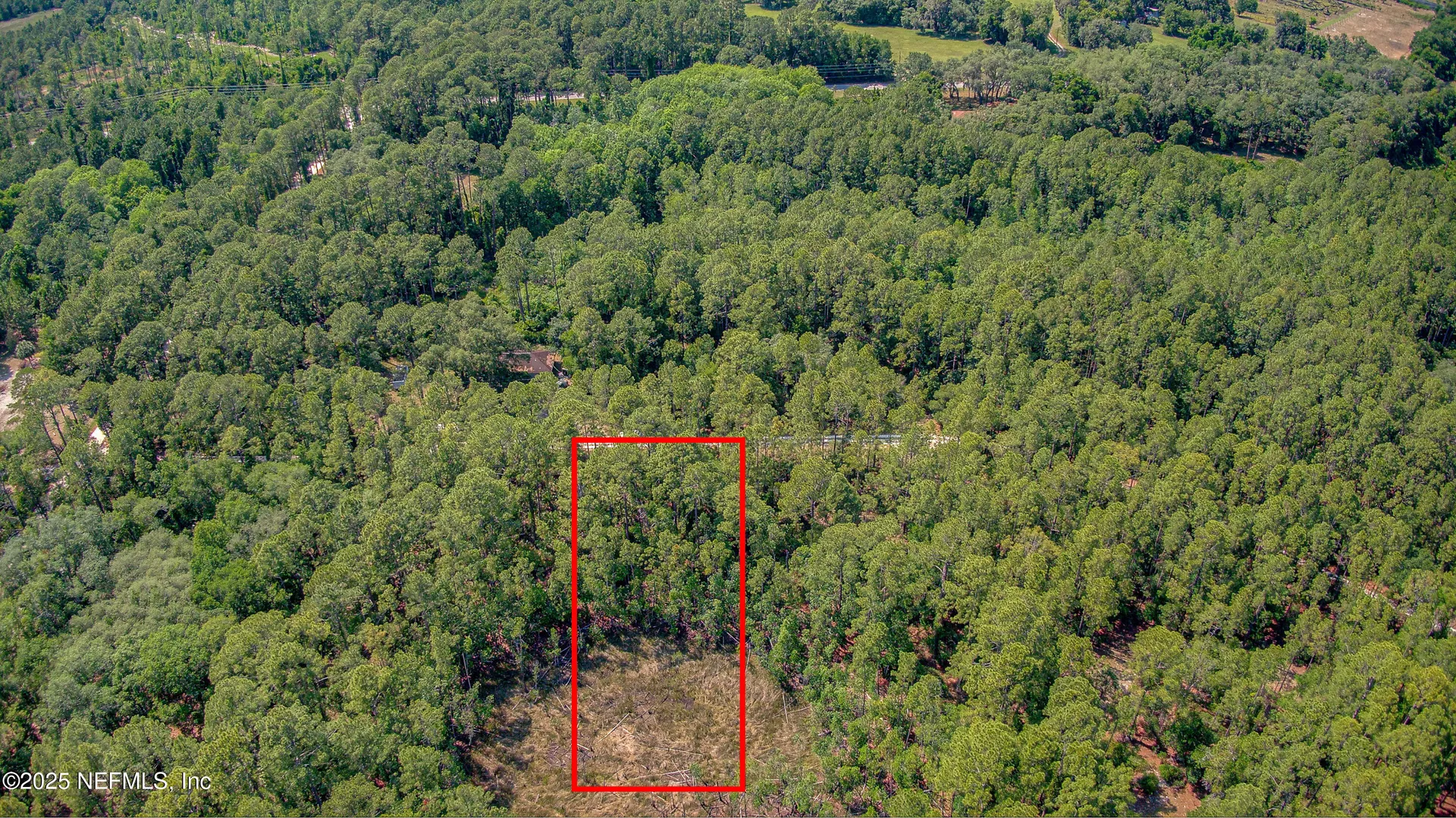 109 Arden Street Georgetown FL 32139