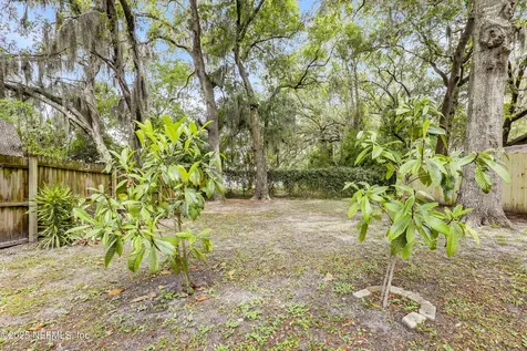 1065 Mimosa Cove Court W Jacksonville FL 32233