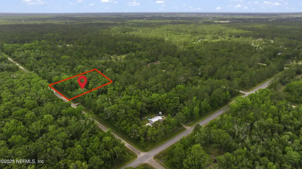 10645 Vaughan Avenue Hastings FL 32145