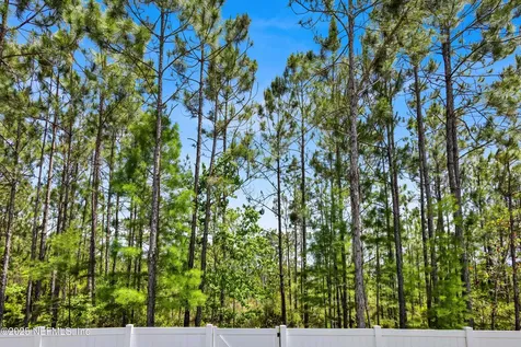 166 Daniel Creek Court St. Augustine FL 32095
