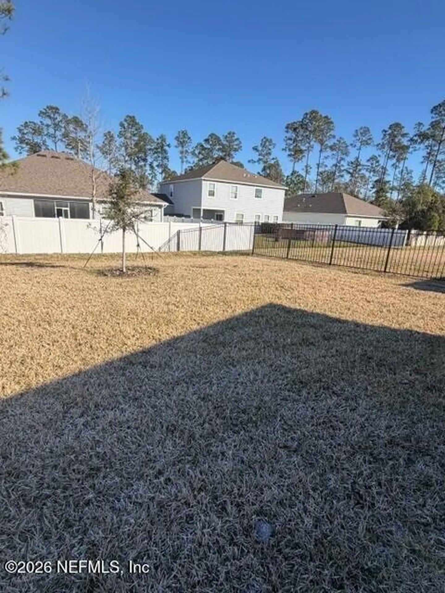 3541 Zydeco Loop Green Cove Springs FL 32043