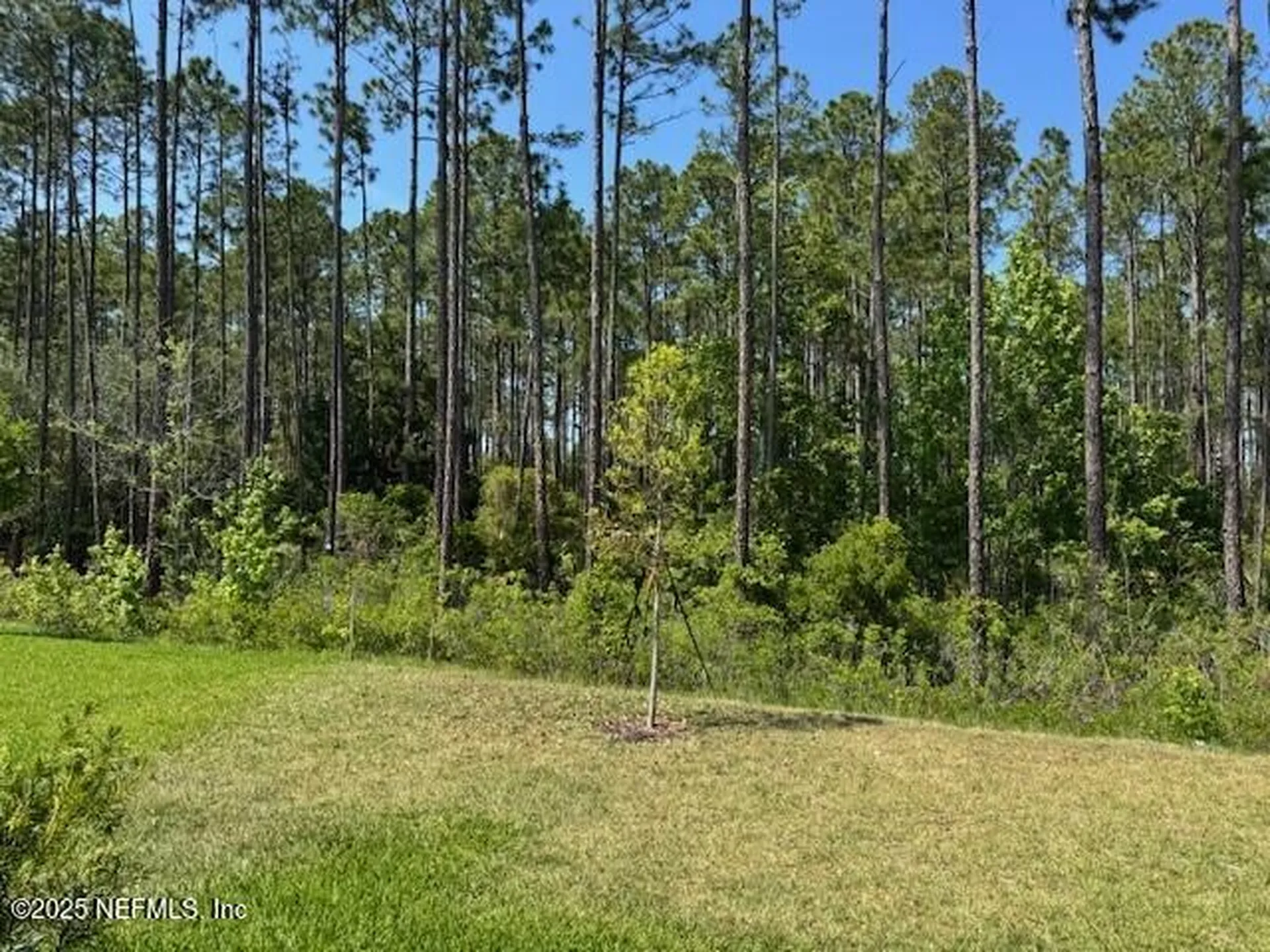 169 Greenwood Drive Palm Coast FL 32137