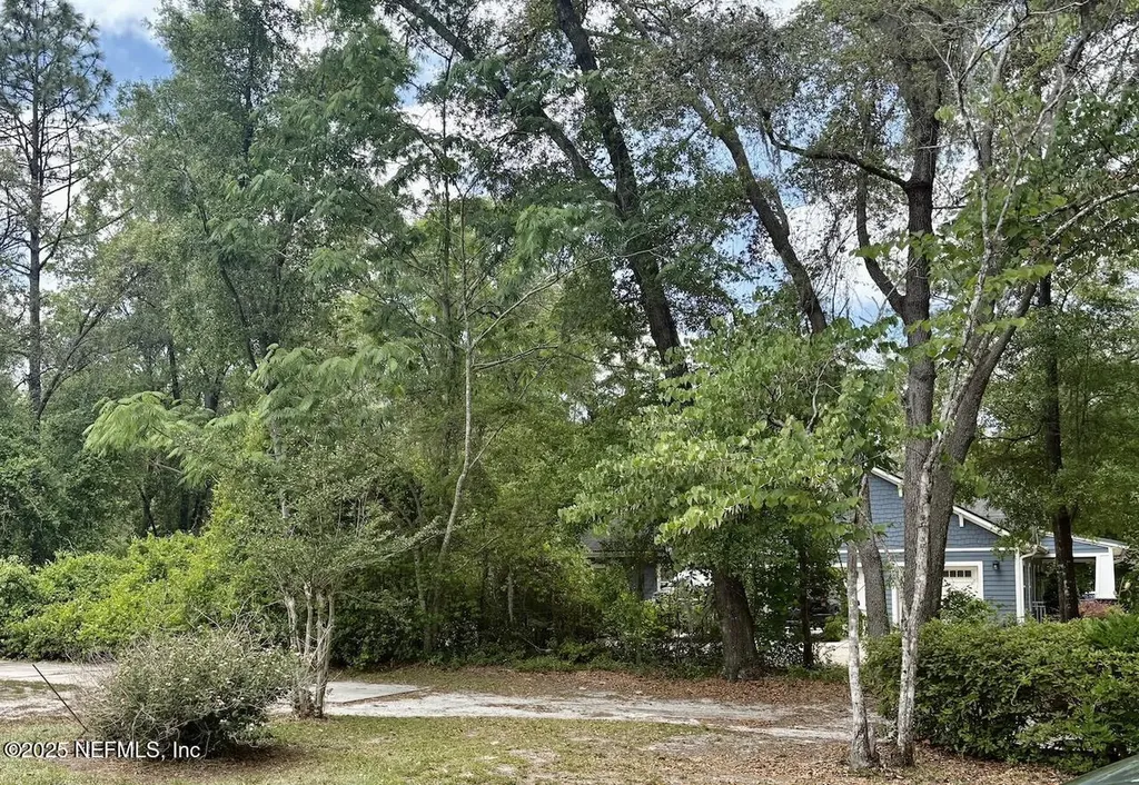 540 Arthur Moore Drive Green Cove Springs FL 32043