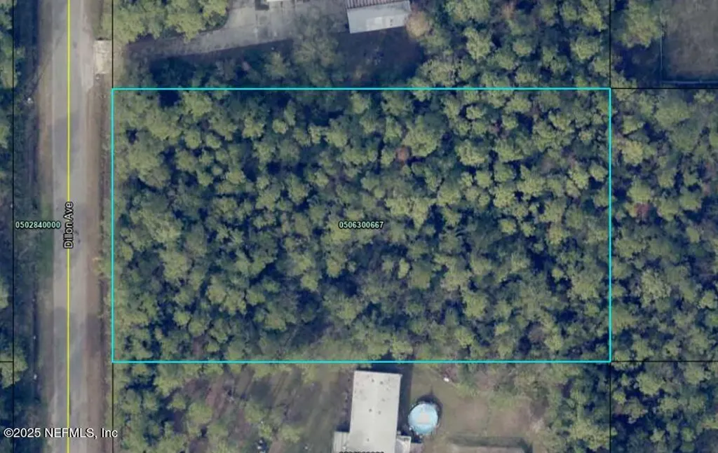 10230 Dillon Avenue Hastings FL 32145