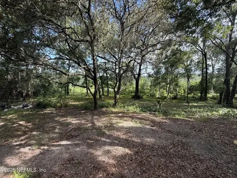 225 Ivanhoe Drive Satsuma FL 32189