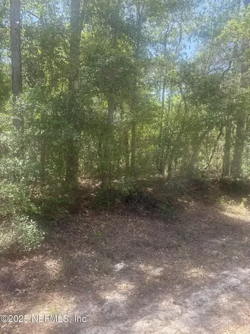 303 Hickory Nut Trail Satsuma FL 32189