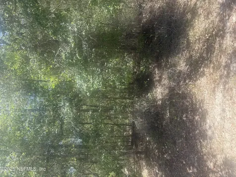 303 Hickory Nut Trail Satsuma FL 32189
