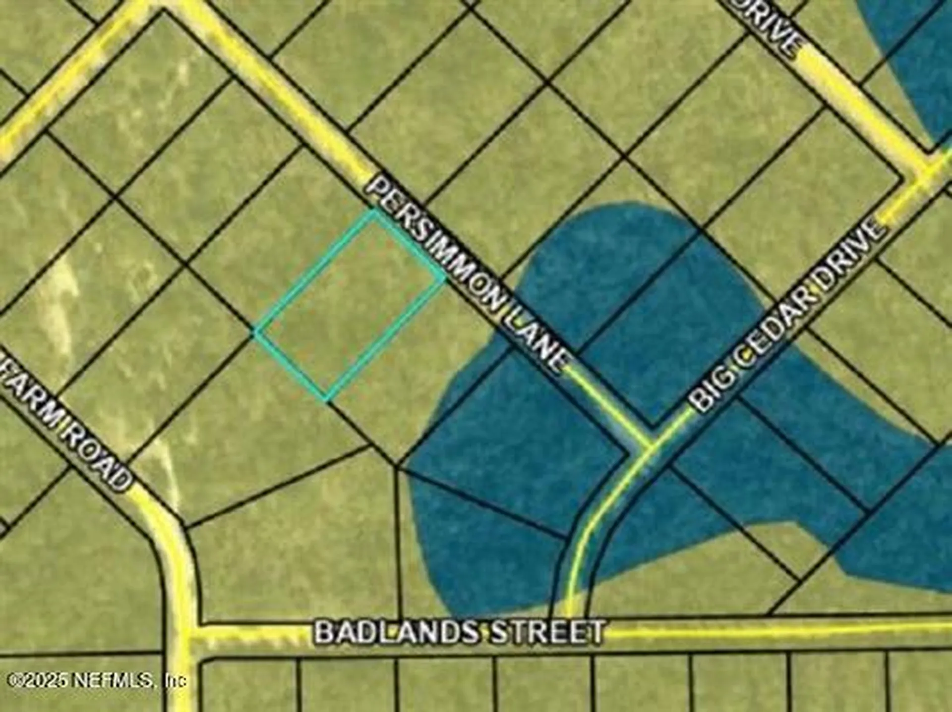 Tbd Persimmon Lane Marianna FL 32446