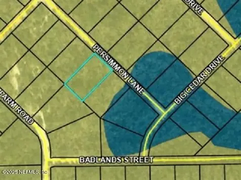 Tbd Persimmon Lane Marianna FL 32446