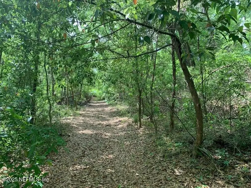000 Dorothy Street Interlachen FL 32148