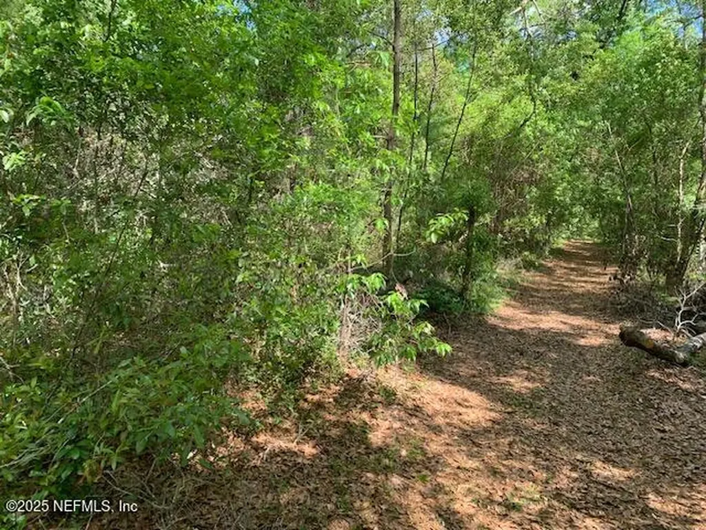 000 Dorothy Street Interlachen FL 32148