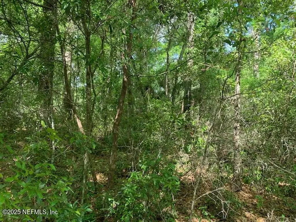 000 Dorothy Street Interlachen FL 32148