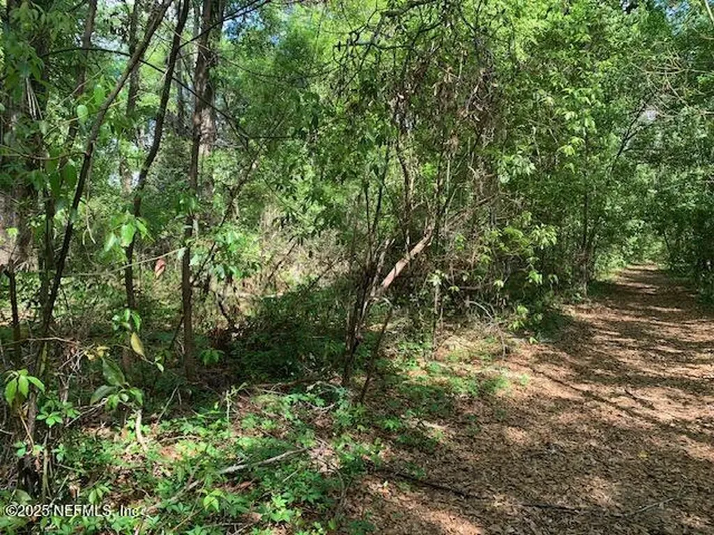 000 Dorothy Street Interlachen FL 32148