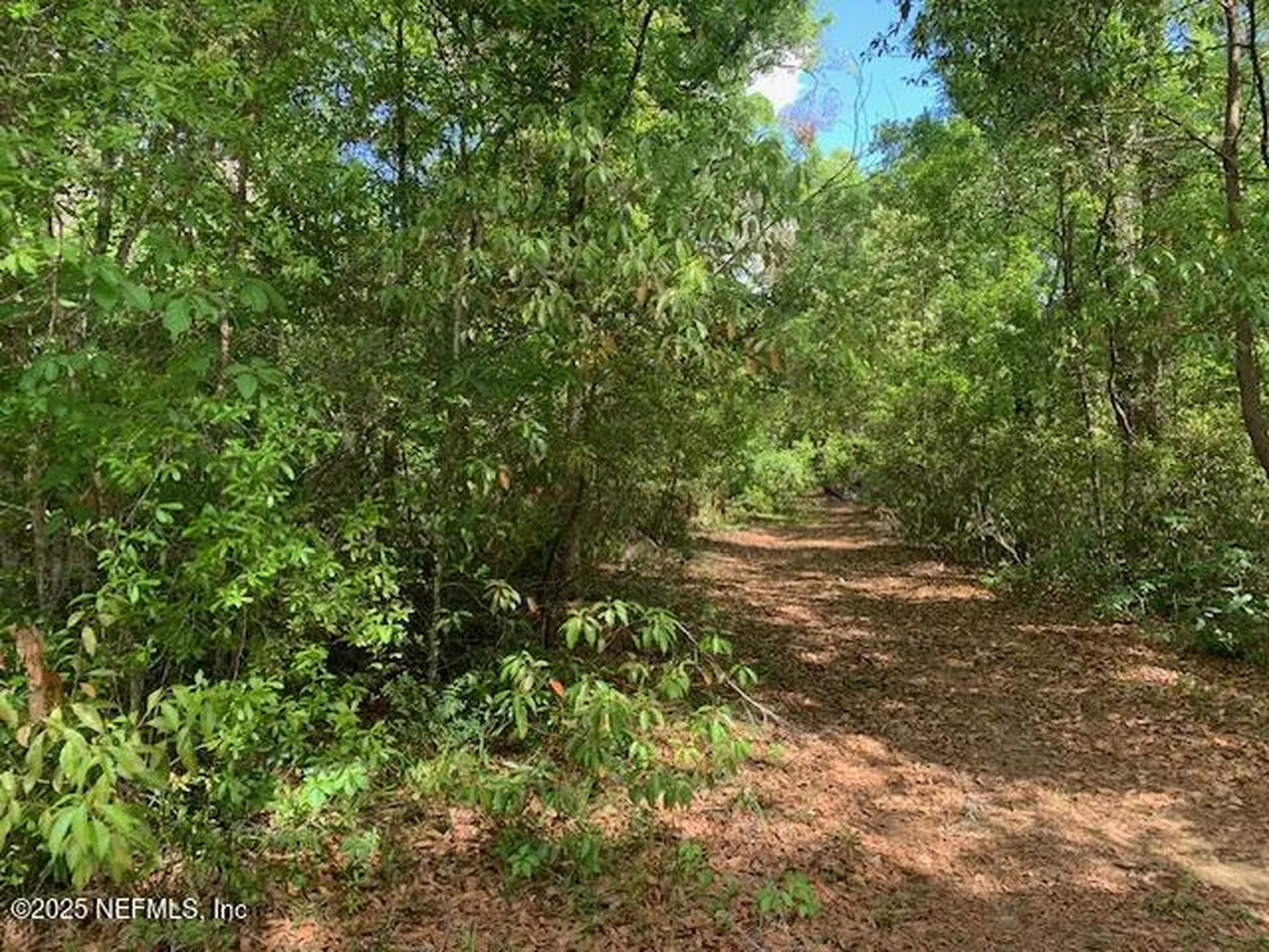 000 Dorothy Street Interlachen FL 32148