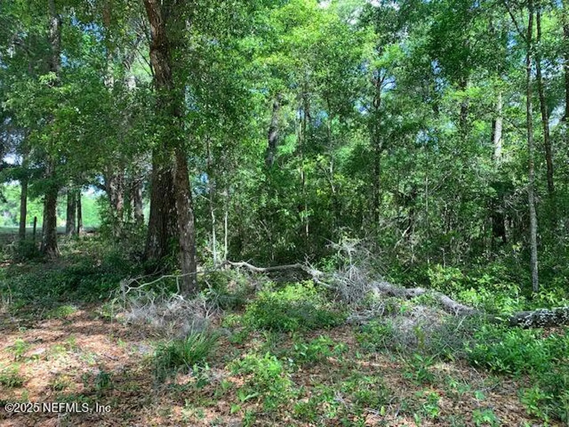 000 Dorothy Street Interlachen FL 32148