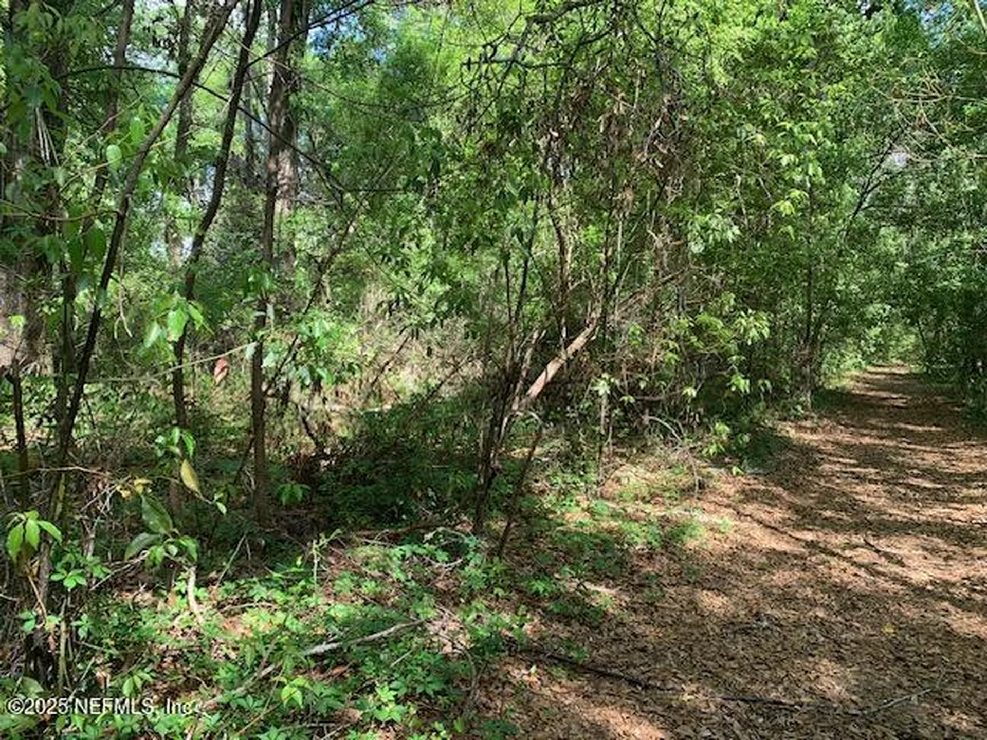 000 Dorothy Street Interlachen FL 32148