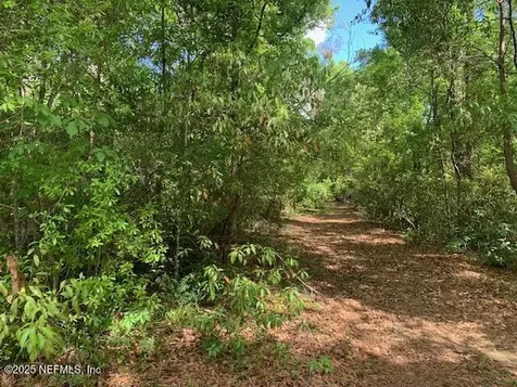 000 Dorothy Street Interlachen FL 32148