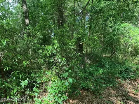 000 Dorothy Street Interlachen FL 32148