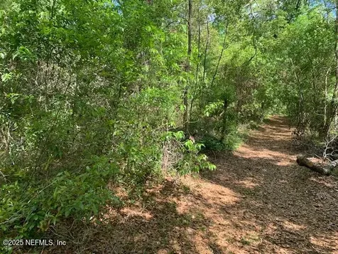 000 Dorothy Street Interlachen FL 32148