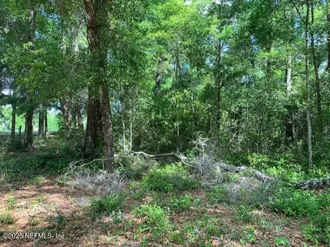 000 Dorothy Street Interlachen FL 32148