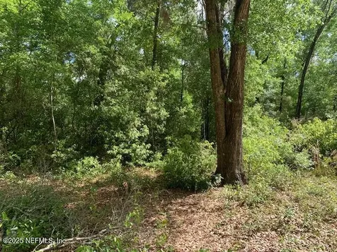 000 Dorothy Street Interlachen FL 32148