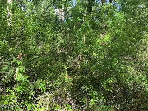 000 Dorothy Street Interlachen FL 32148