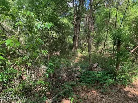 000 Dorothy Street Interlachen FL 32148