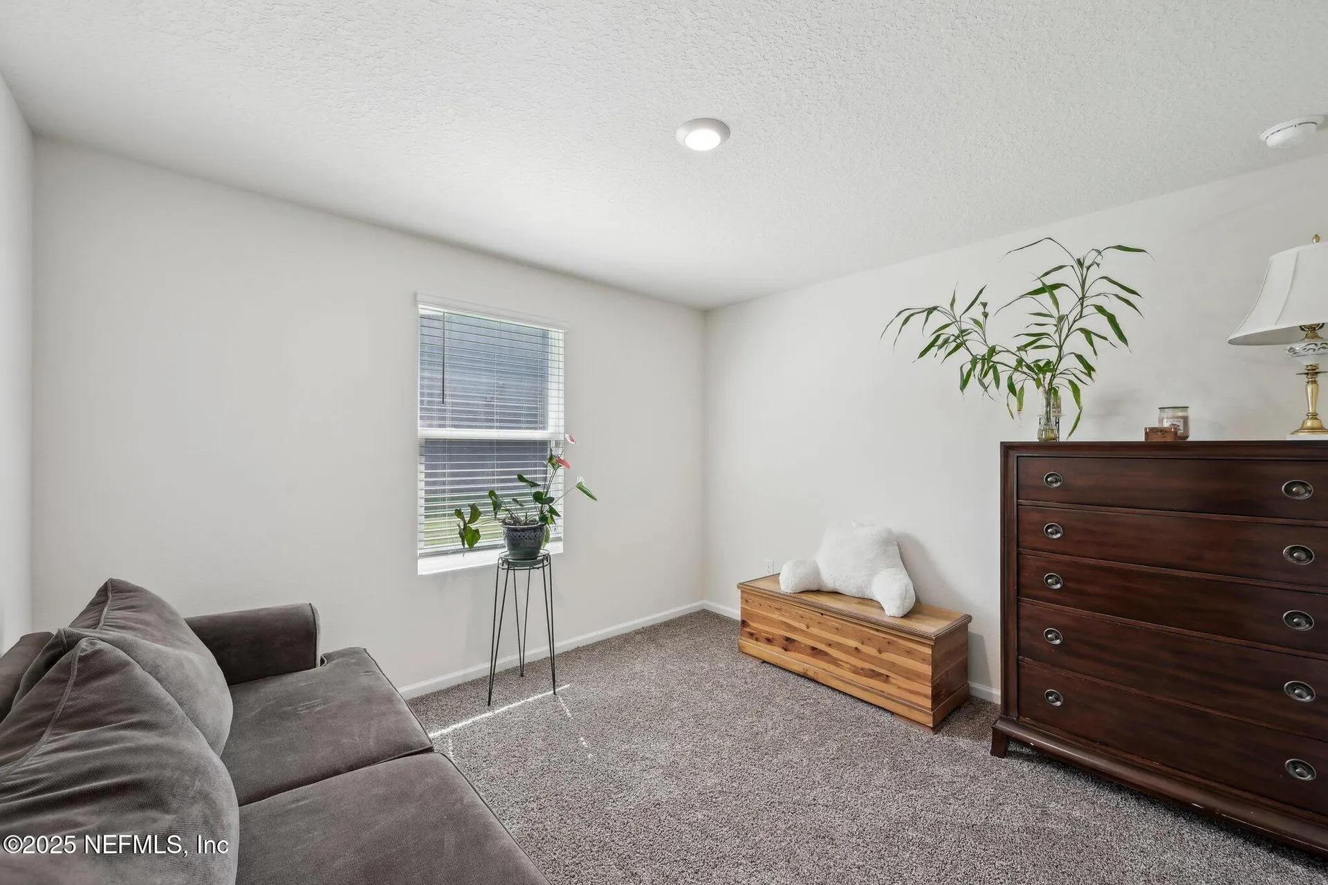 3433 Ringtail Court Green Cove Springs FL 32043