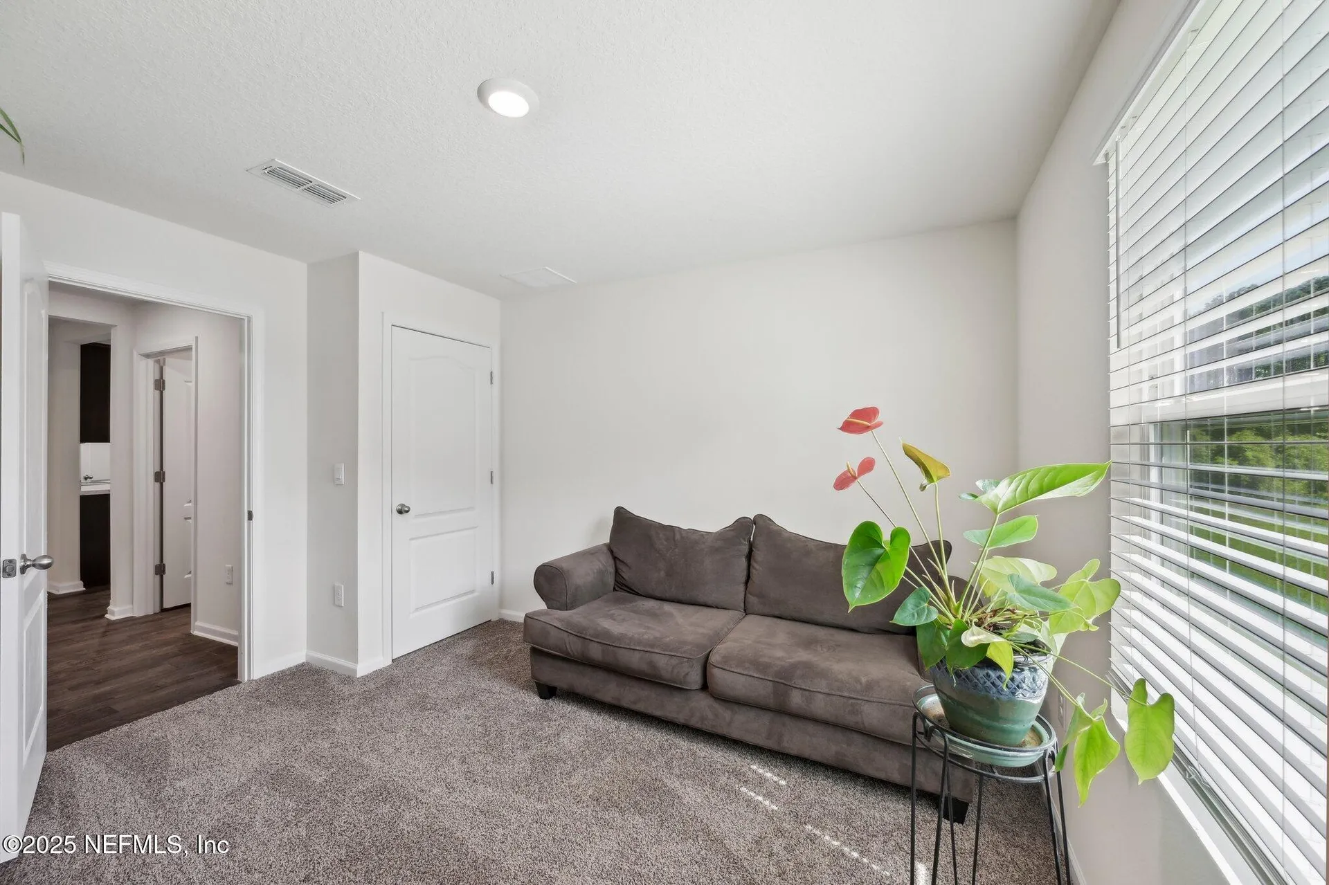 3433 Ringtail Court Green Cove Springs FL 32043