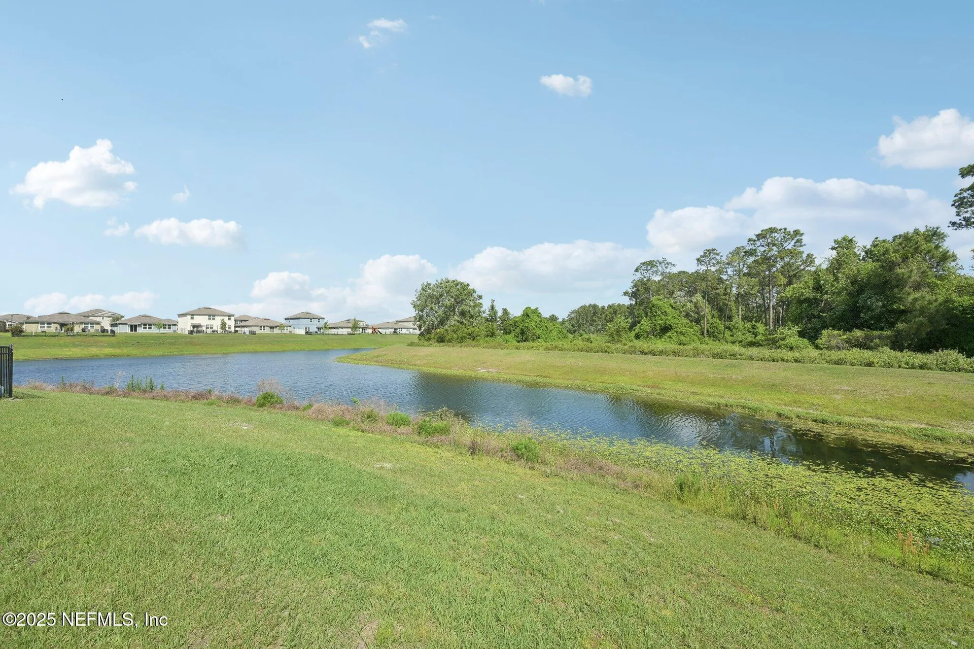 3433 Ringtail Court Green Cove Springs FL 32043