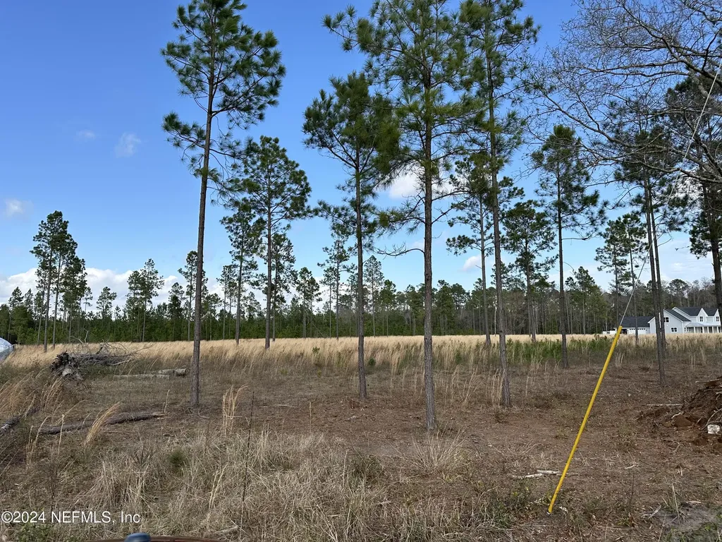15538 Co Road 108 Hilliard FL 32046