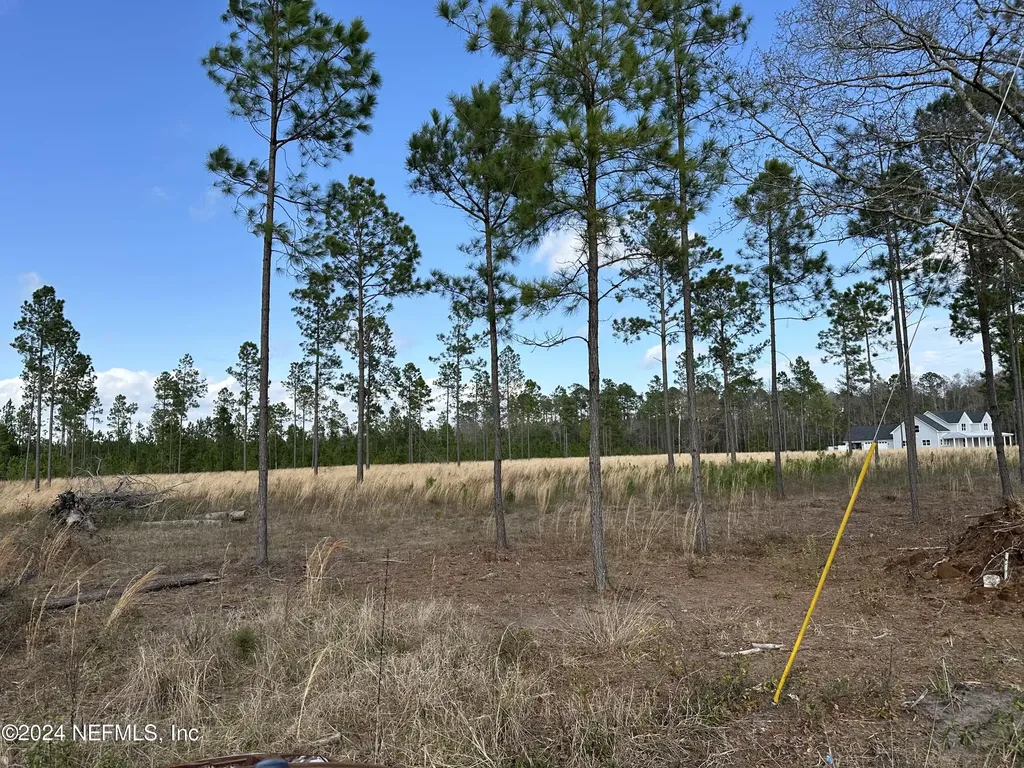 15538 Co Road 108 Hilliard FL 32046