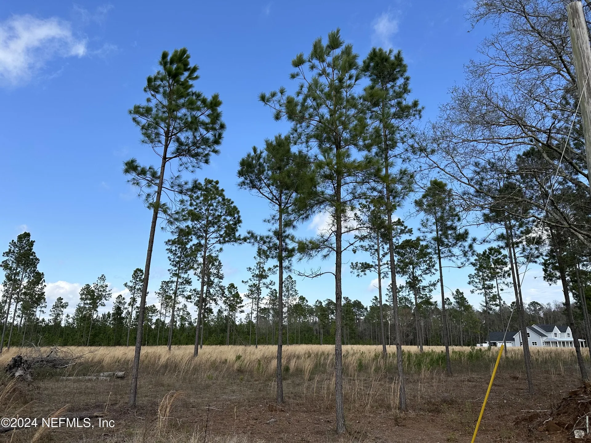 15538 Co Road 108 Hilliard FL 32046