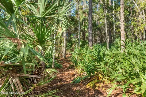 9160 Woodjack Court Jacksonville FL 32256