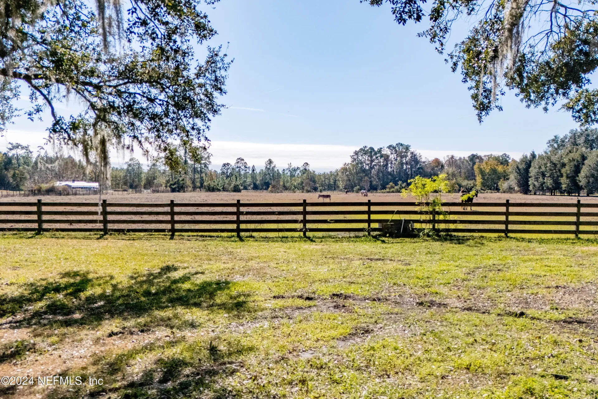 11289 SW 85th Avenue Hampton FL 32044