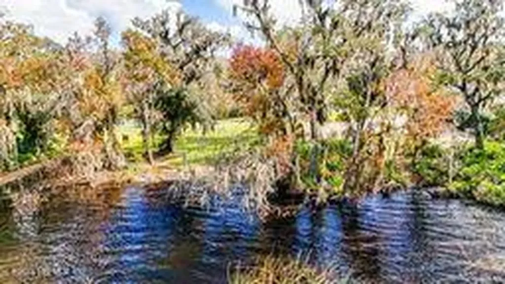 8525 Beverly Lane Lane St. Augustine FL 32092