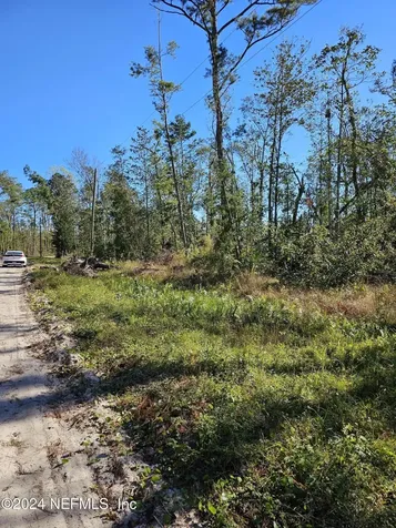 LOT38 N.w. 67th Place Jennings FL 32053