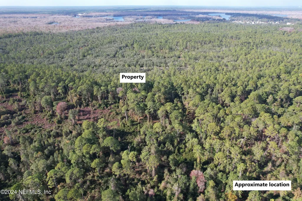 104 Frankfort Street Satsuma FL 32189