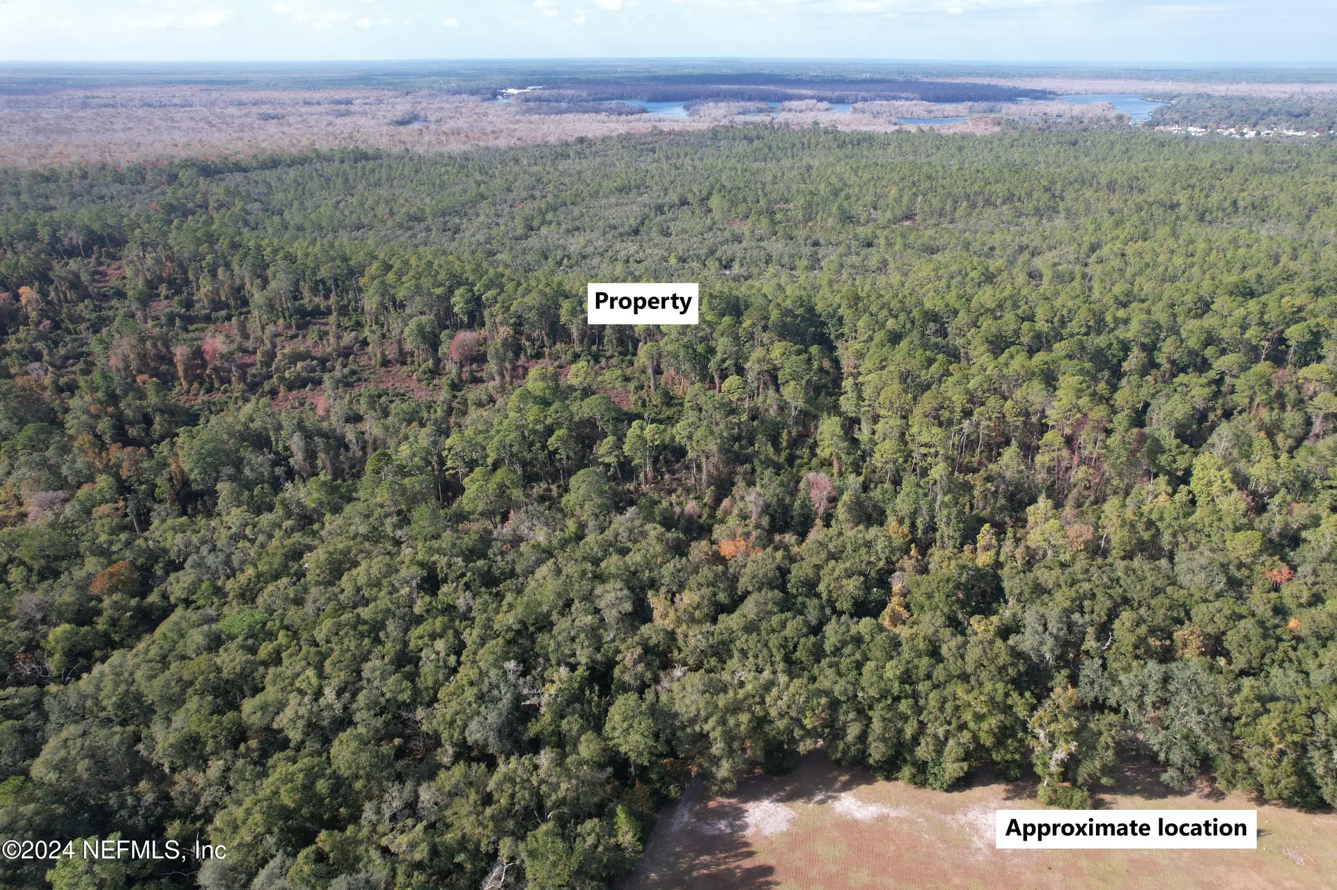 104 Frankfort Street Satsuma FL 32189